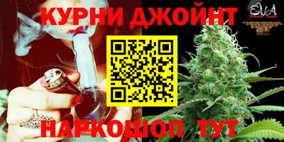 СК Ливны