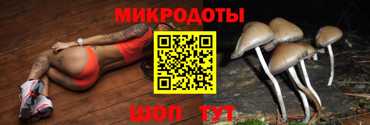 Галлюциногенные грибы прущие грибы Верхняя Салда